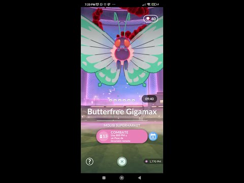 Hisoka y sus pokeamigos