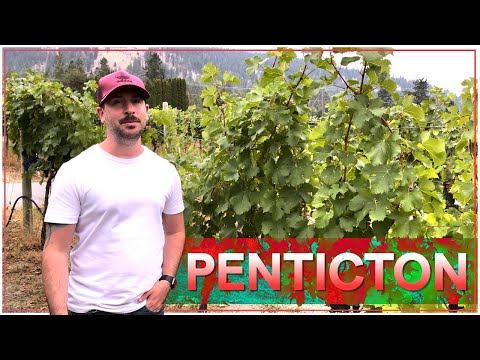 Penticton Travel Guide - How to travel to Penticton in British-Colombia (Canada) 🇨🇦 #pentictonbc