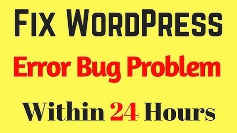 I Will Fix Wordpress Php Html Css Error Bug 24 Hours | Fiverr WordPress Expert