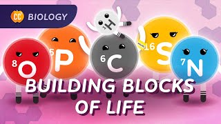 What is Life Made of? (Carbon & Biological Molecules): Crash Course Biology #20 by CrashCourse 84,154 views 5 months ago 13 minutes, 53 seconds