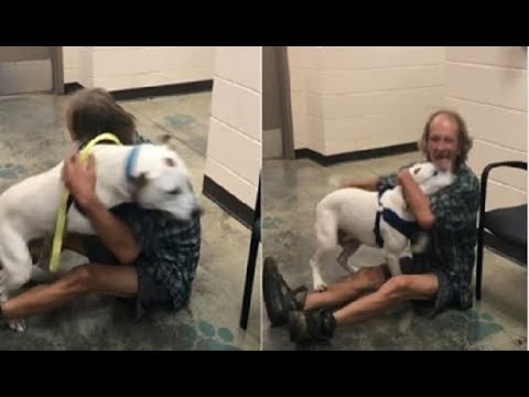 Vídeo: Morador De Rua Que Se Recusou A Abandonar Seu Cachorro Recebe Ajuda Da Organização De Resgate
