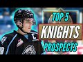 Top 5 Golden Knights Prospects (2020-2021) || Vegas Golden Knights Top Prospects