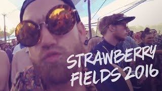 Strawberry Fields 2016!