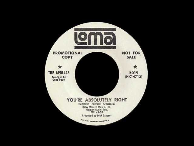 THE APOLLAS - You're Absolutely Right