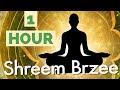 1 hr shreem brzee wsinging bowl powerful money mantra  attract wealth fast 1296 repetitions