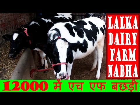 वीडियो: बच्चे को FGS के लिए कैसे तैयार करें?