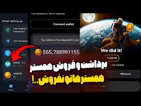 همستر لیست شد همستر هاتو به هیچ وجه نفروش تحلیل همستر کمبت و آیندش
