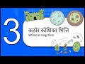 Chapter 2 — Cellular Organelles