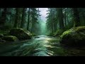 Deep Jungle Water Sounds for Insomnia and Relaxation | Tropical River Ambience