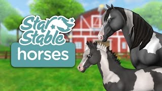 Star Stable Horses (iOS/Android) (2017 Trailer) screenshot 5