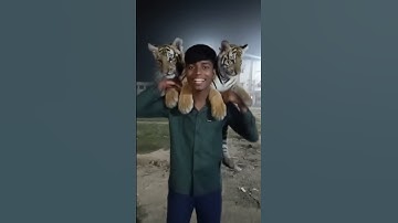 tutorial  Leopard leap filter🤩💀 #leopard #leap #filter #moneylove #funny #trending