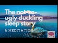 The not so ugly duckling a sleep story Female Vocals only guided sleep meditation restful calming