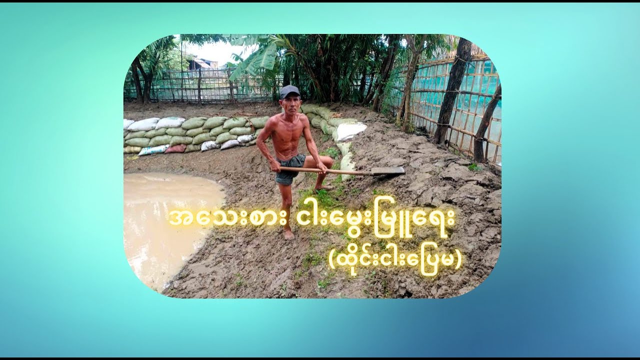 အသေးစား ငါးမွေးမြူရေး (ထိုင်းငါးပြေမ)