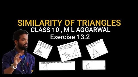 SIMILARITY OF TRIANGLES CLASS 10 || ICSE || M L AGGARWAL || EXERCISE 13.2