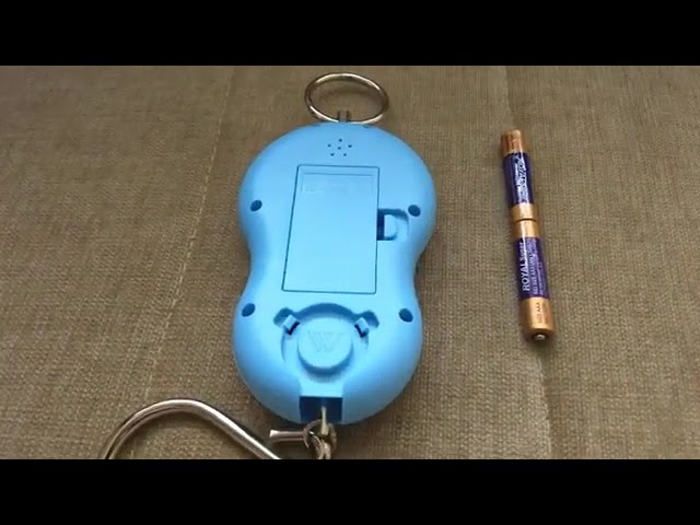 50kg Portable Luggage Scale