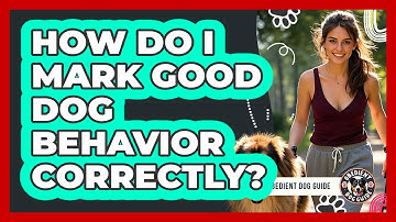 How Do I Mark Good Dog Behavior Correctly?