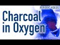 Hot Charcoal in Liquid Oxygen (THERMAL IMAGING) - Periodic Table of Videos