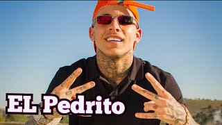 MC Pedrinho - Blindado de Fé 🙏🏼 (prod. Caio Passos) | PRÉVIA OFICIAL