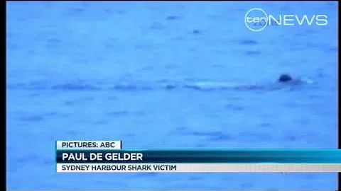 Shark Mauls Navy Diver