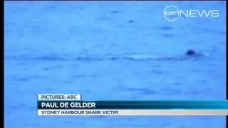 Shark Mauls Navy Diver