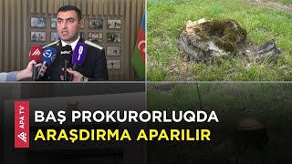 Qusarda meşənin məhv edilməsi ilə bağlı cinayət işi başlanıb - APA TV