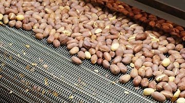 EO 195 Peanut Roasting Machine - Nut Roaster