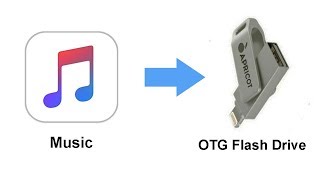 How to Transfer music from iPhone Music Library to OTG Flash Drive