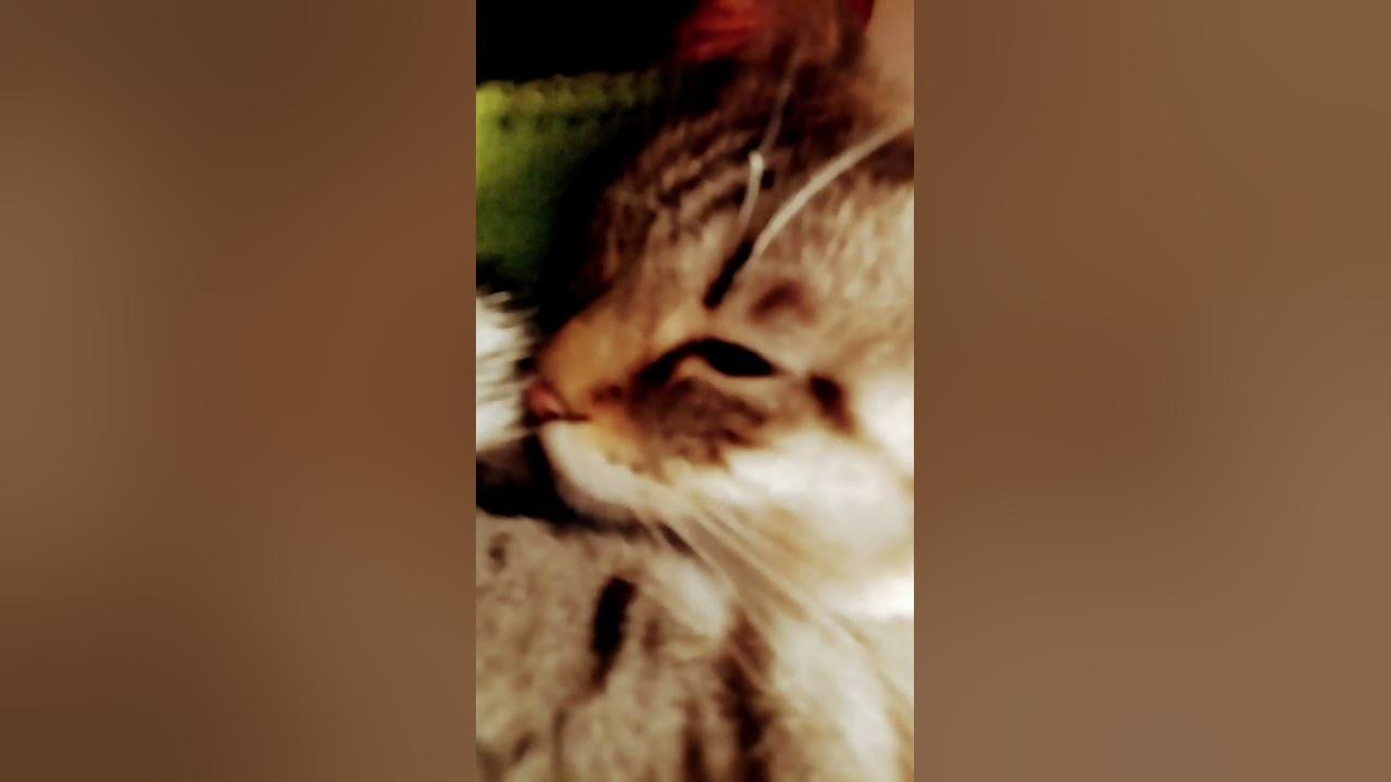 кет - YouTube