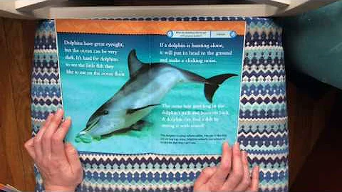 Read Aloud of Dolphins by Melissa Stewart, National Geographic
