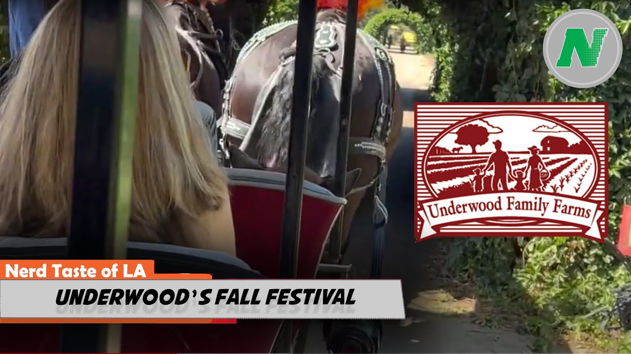 NTOLA Underwood Family Farms Fall Harvest Festival YouTube