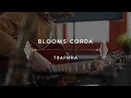 Blooms Corda — Тварина (Stage 13)
