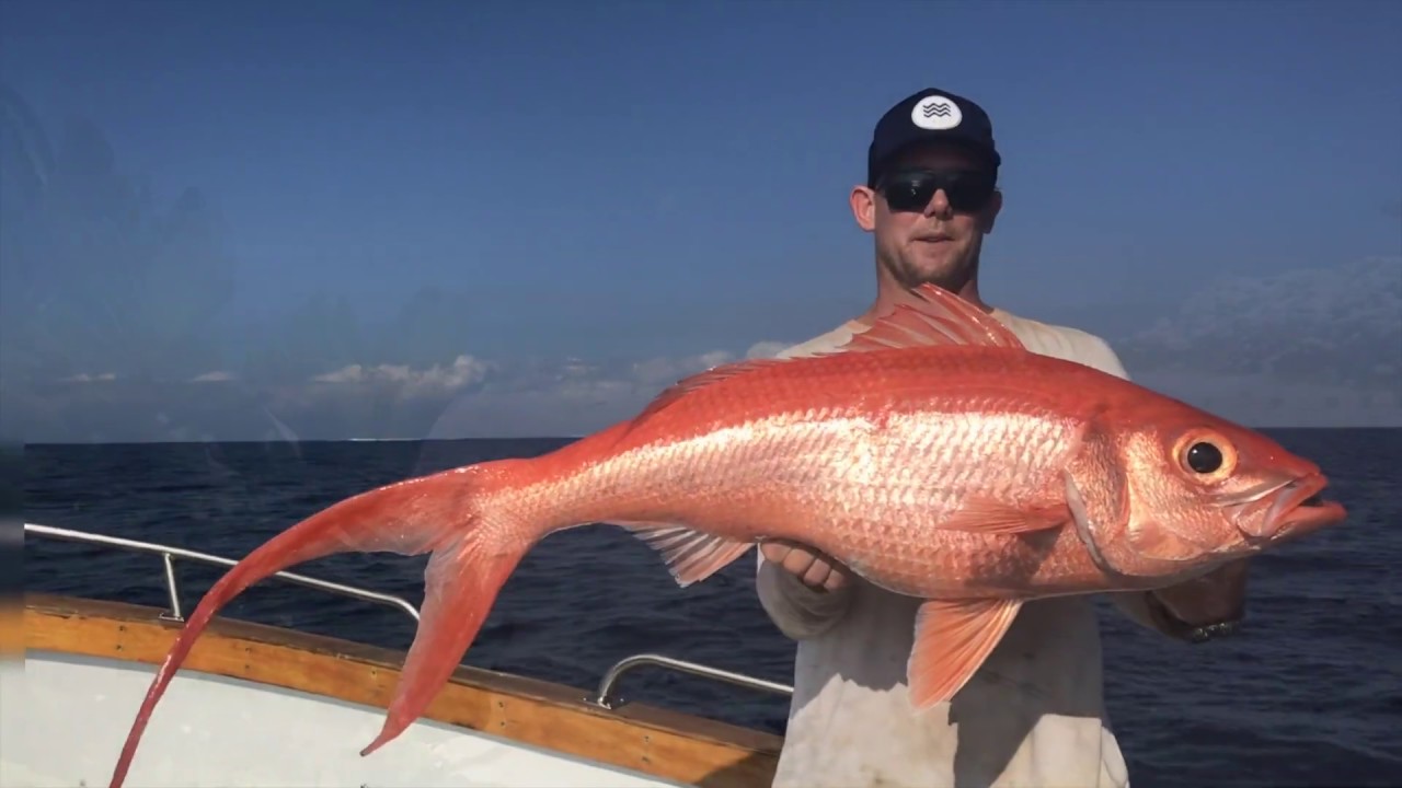 Namotu Island Fiji Deep Drop Fishing 300m Plus Youtube