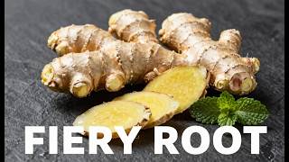 The Power of Ginger Exploring the Amazing Health Benefits, Ancient History, and Essential Kitchen Re