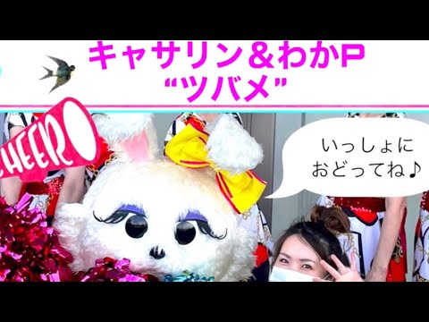 【ツバメダンス】キャサリンとツバメ踊ってみた！#ツバメ