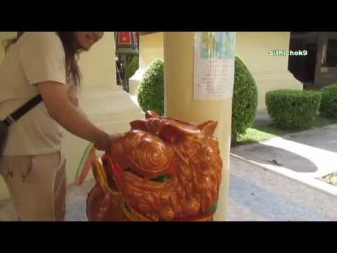 ผูกผ้าสิงห์และต้นไม้อินจัน วัดป่าประดู่ จ.ระยอง ; Thai Temple ; Tour ; to do merit