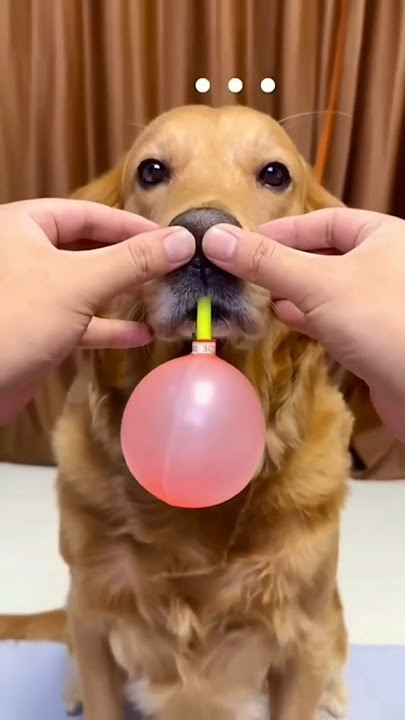 balloon Pumping challenge #shorts