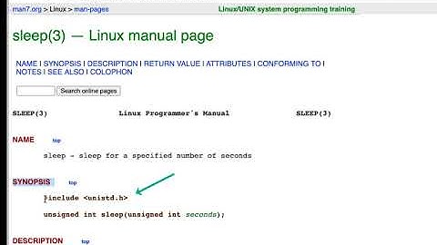 C Programming Skills Using Replilt: time.h Intro