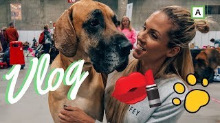 Vlog; julebord, makeup og drømmehunden