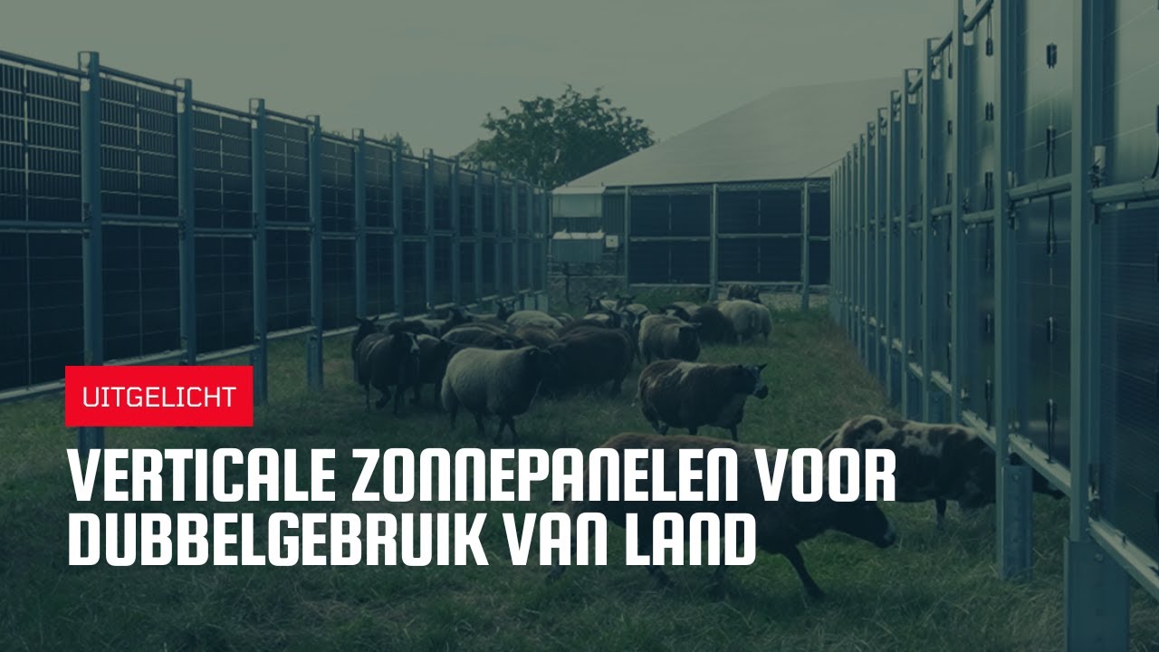 Uitgelicht Verticale zonnepanelen voor dubbelgebruik van land YouTube