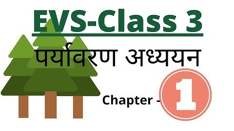 chapter 1|| My Family || class 3 || Environmental Studies || #teaching #exam english to hindi