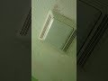 Not Working. Broan Exhaust Fan with light