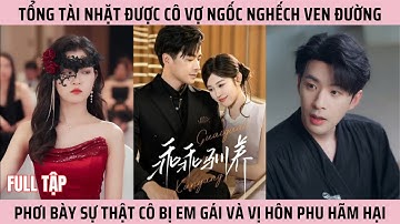 Tổng Tài Nhặt Được Cô Vợ Ngốc Nghếch Ven Đường, Phơi Bày Sự Thật Cô Bị Em Gái Và Vị Hôn Phu Hãm Hại