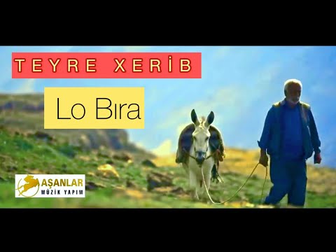 TEYRE XERİB - LO BIRA