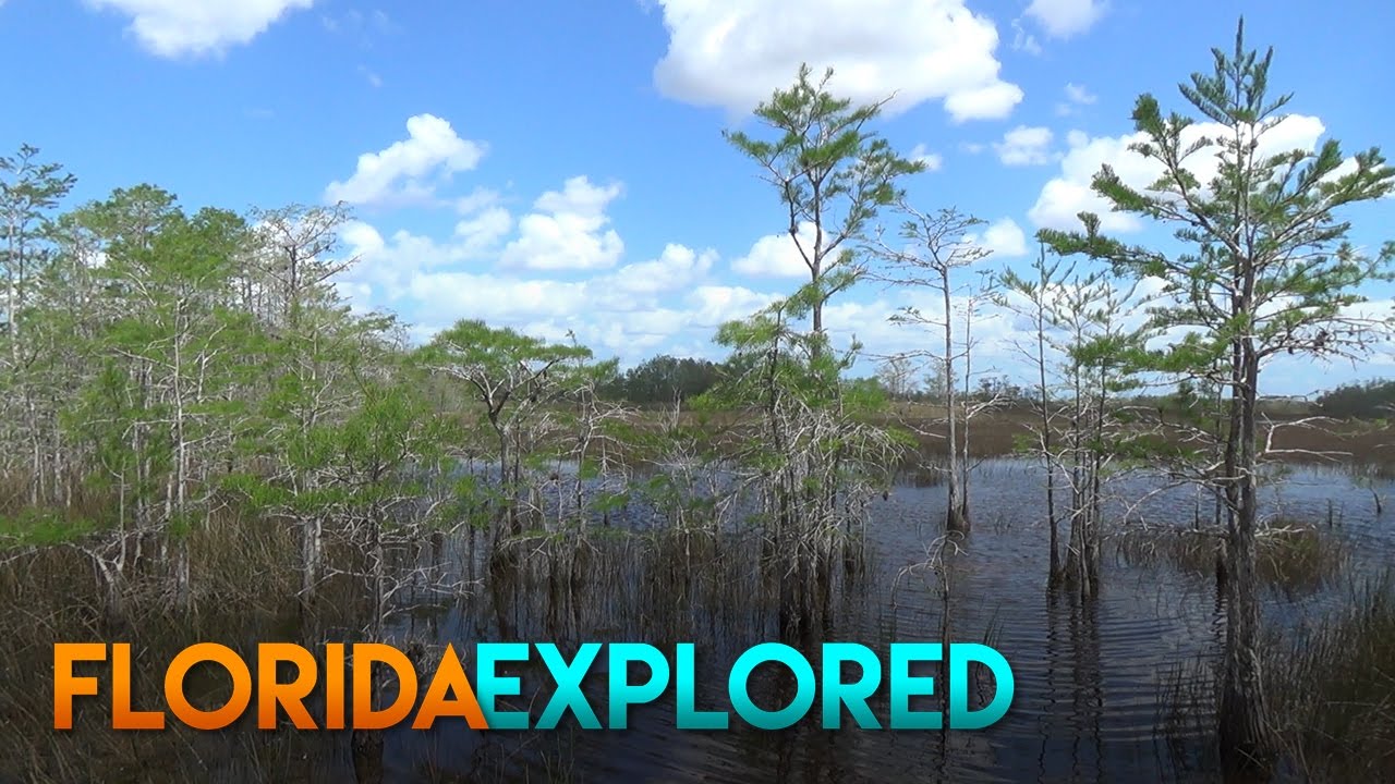 Grassy Waters Preserve West Palm Beach, FL Florida Explored YouTube