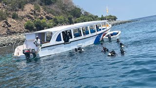 Netrani Island SCUBA Diving Lifetime Experience | Karnataka India | Arabian Sea