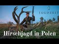 Jagdzeit - Hirschjagd in Polen Teil 1