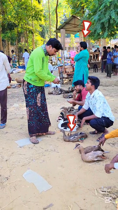 Download lagu π¦π¦’They stole the duck and sold it.