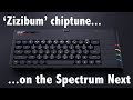 &#39;Zizibum&#39; (Spectrum Next)