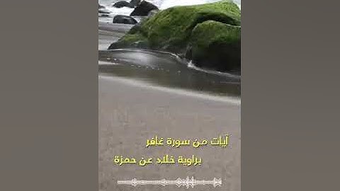 ما تيسر من سورة غافر بصوت عذب للقارئ شريف السيود برواية خلاد عن حمزة/ Surat Ghafir Sharif Al-Sayyud