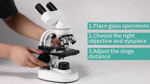 Compound Binocular Microscope.
